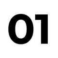01 (1)